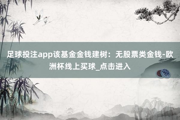 足球投注app该基金金钱建树：无股票类金钱-欧洲杯线上买球_点击进入