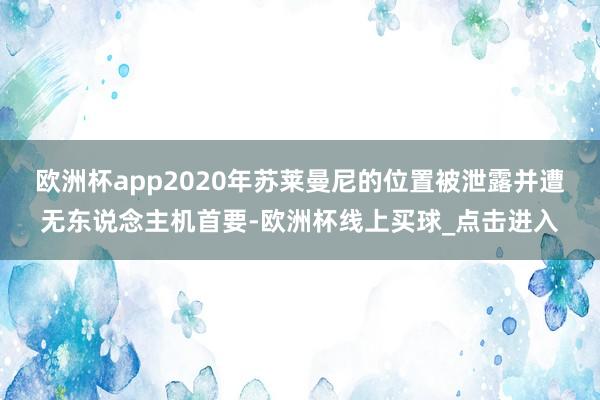 欧洲杯app2020年苏莱曼尼的位置被泄露并遭无东说念主机首要-欧洲杯线上买球_点击进入