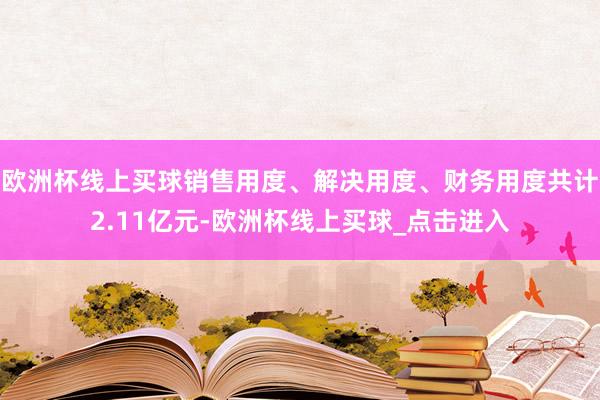 欧洲杯线上买球销售用度、解决用度、财务用度共计2.11亿元-欧洲杯线上买球_点击进入