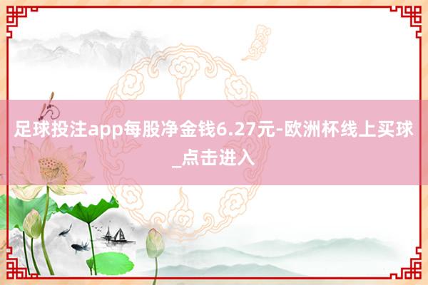 足球投注app每股净金钱6.27元-欧洲杯线上买球_点击进入