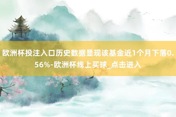 欧洲杯投注入口历史数据显现该基金近1个月下落0.56%-欧洲杯线上买球_点击进入