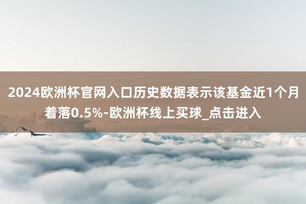 2024欧洲杯官网入口历史数据表示该基金近1个月着落0.5%-欧洲杯线上买球_点击进入