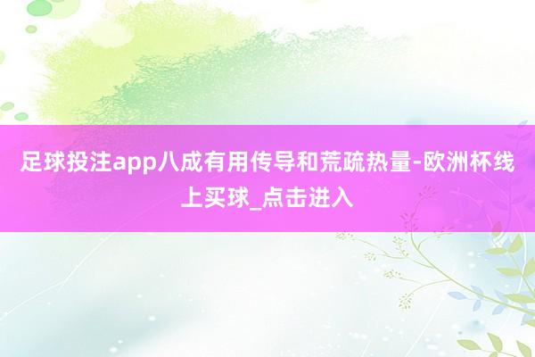 足球投注app八成有用传导和荒疏热量-欧洲杯线上买球_点击进入