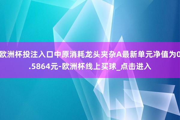 欧洲杯投注入口中原消耗龙头夹杂A最新单元净值为0.5864元-欧洲杯线上买球_点击进入