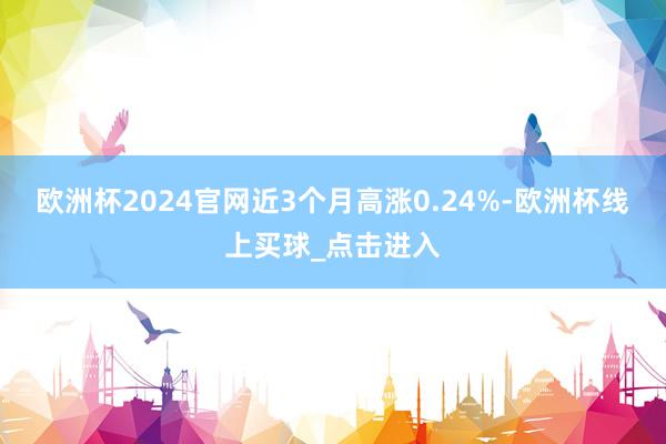 欧洲杯2024官网近3个月高涨0.24%-欧洲杯线上买球_点击进入