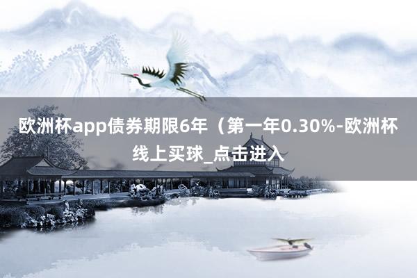 欧洲杯app债券期限6年（第一年0.30%-欧洲杯线上买球_点击进入