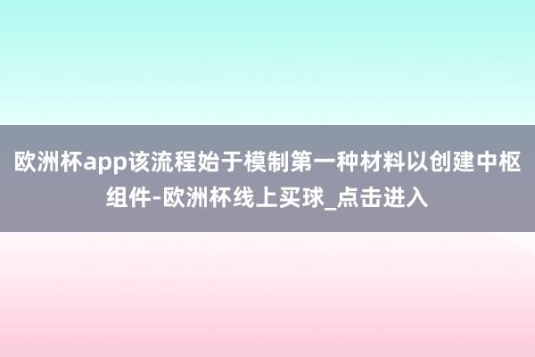 欧洲杯app该流程始于模制第一种材料以创建中枢组件-欧洲杯线上买球_点击进入